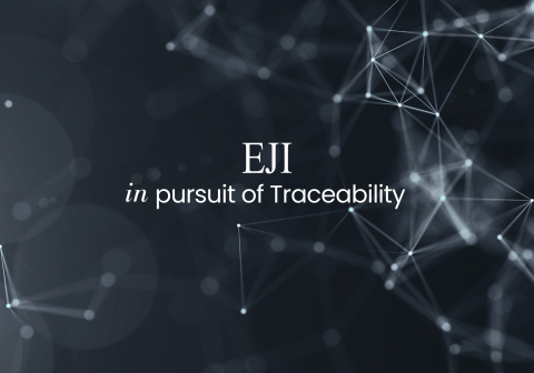 EJI is a Hong Kong based jewellery manufacturer specializing in diamond gold jewellery with over 30 years of experience providing bespoke